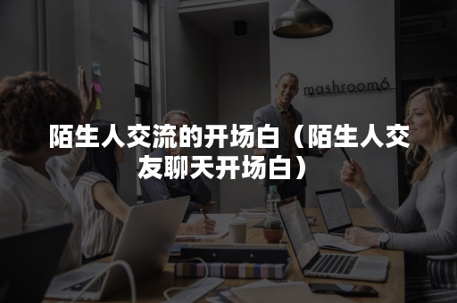 陌生访客