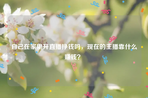 自己在家里开直播挣钱吗，现在的主播靠什么赚钱？